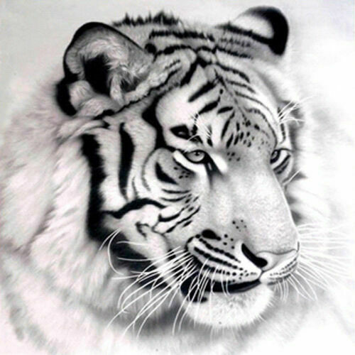 DIY Full Drills 5D Diamond Painting Kit Embroidery Cross Craft Stitch Art Decor - Picture 10 of 304