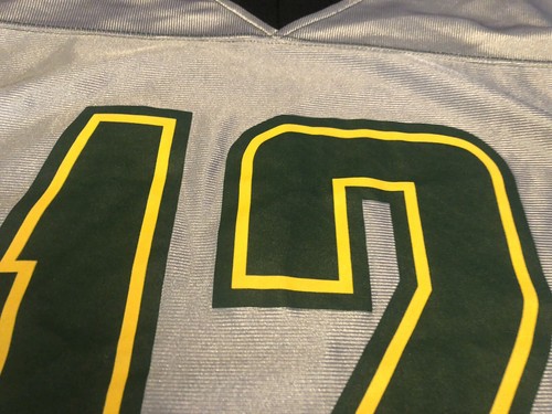 Aaron Rodgers Green Bay Packers NFL Team Apparel Large Silver Jersey - Picture 6 of 8