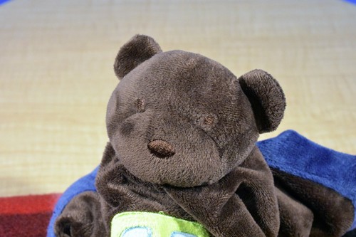 Tiddliwinks Brown Bear With Green Car Security Blanket Plush(310-1137) - Picture 4 of 4