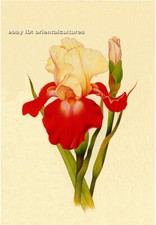 Chinese 100 real natural silk thread,su hand embroidery kits:flower 11.5"