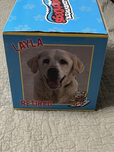 NEU Clearwater Beach Hunde/Drescher Layla & Lucy Wackelköpfe MiLB Baseball - Bild 4 von 14