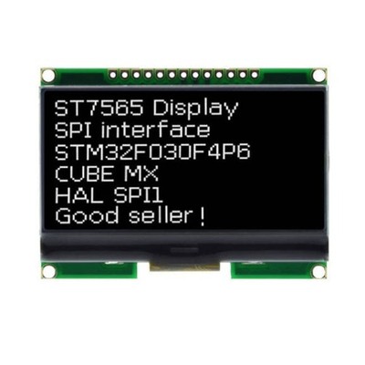 LCD12864-06D  128x 64 Punkte COG LCD  ST7565 Treibermodul Schwarz H9B4