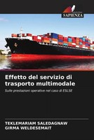 Teklemariam Saledagnaw (U. A.) | Effetto Del Servizio Di Trasporto Multimodale