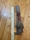 Foto 11 di 12