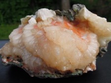 1.5 LB Superb Natural Apophynite Mineral Specimen - India