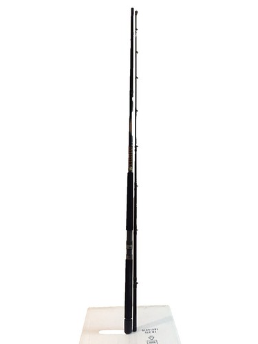 Tailwalk Offshore Rod Boat Gamer SSD N-Limited S73M (Spinning 2