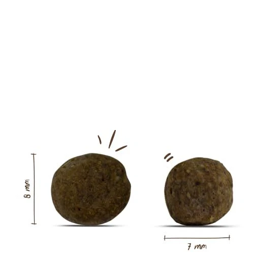 bosch HPC Mini Junior | Hundetrockenfutter zur Aufzucht kleiner Rassen bis 15... - Bild 2 von 3