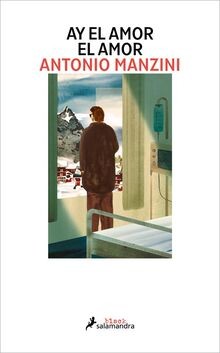 Ay el amor el amor (Subjefe Rocco Schiavone 9) (Sal... | Buch | Zustand sehr gut