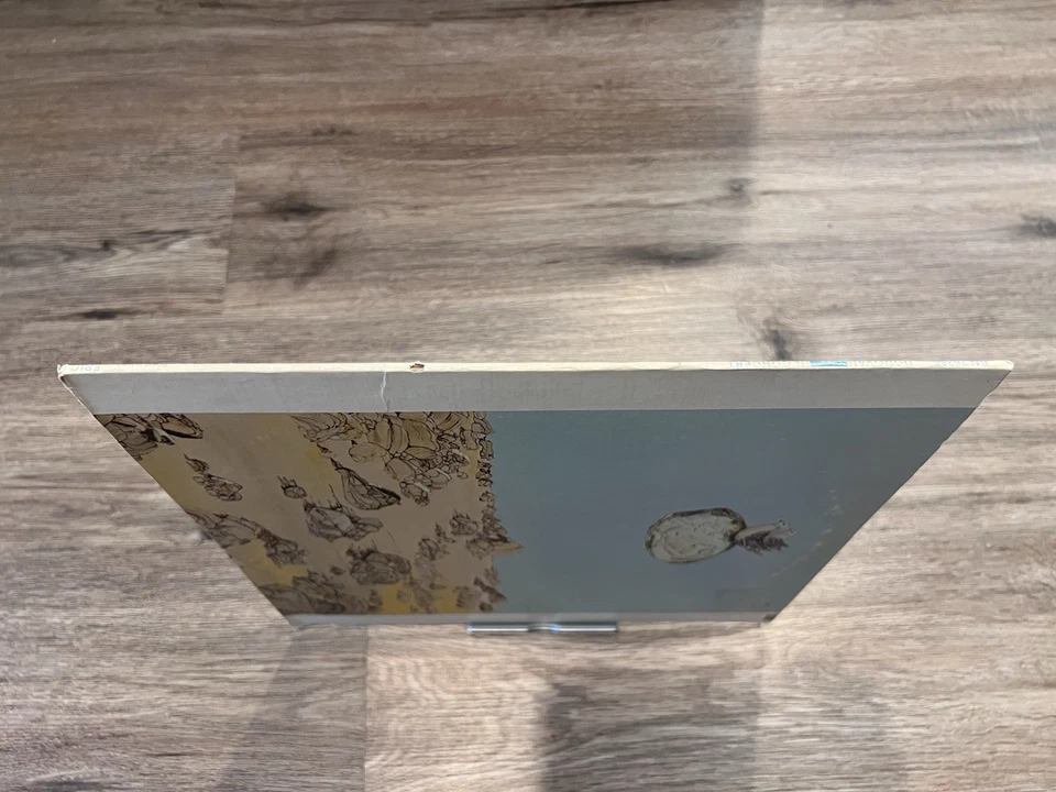 Donovan - In Concert At The Anaheim Convention Center - Vinyl LP Epic BN 26386 - Image 4 of 4