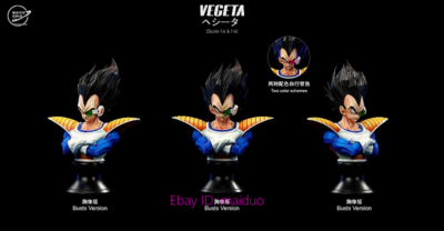 White Hole Studio Vegeta Resin Dragon Ball EX version 1/6 with