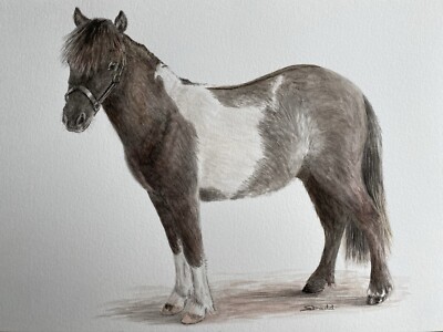 Individuelles Original Aquarell Gemälde Portrait Haustier Pferd Foto A5,4,3 Weihnachten