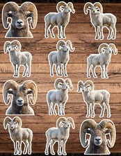 Bighorn Sheep Die Cut Vinyl Stickers Set Scrapbooking Laptop Waterbottle