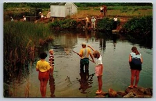 1970S CHROME PC CRAB CREEK DENNIS CAPE COD MASSACHUSETTS