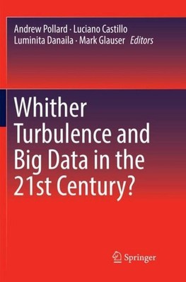 Whither Turbulence and Big Data in the 21st Century? Andrew Pollard