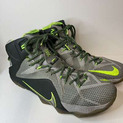 lebron 12 dunkman