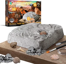 Discovery #MINDBLOWN Fossil Dig Set, 15-Piece STEM Archeology Kit for Kids