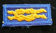 BSA Uniform Knot Den Leader's Training Award