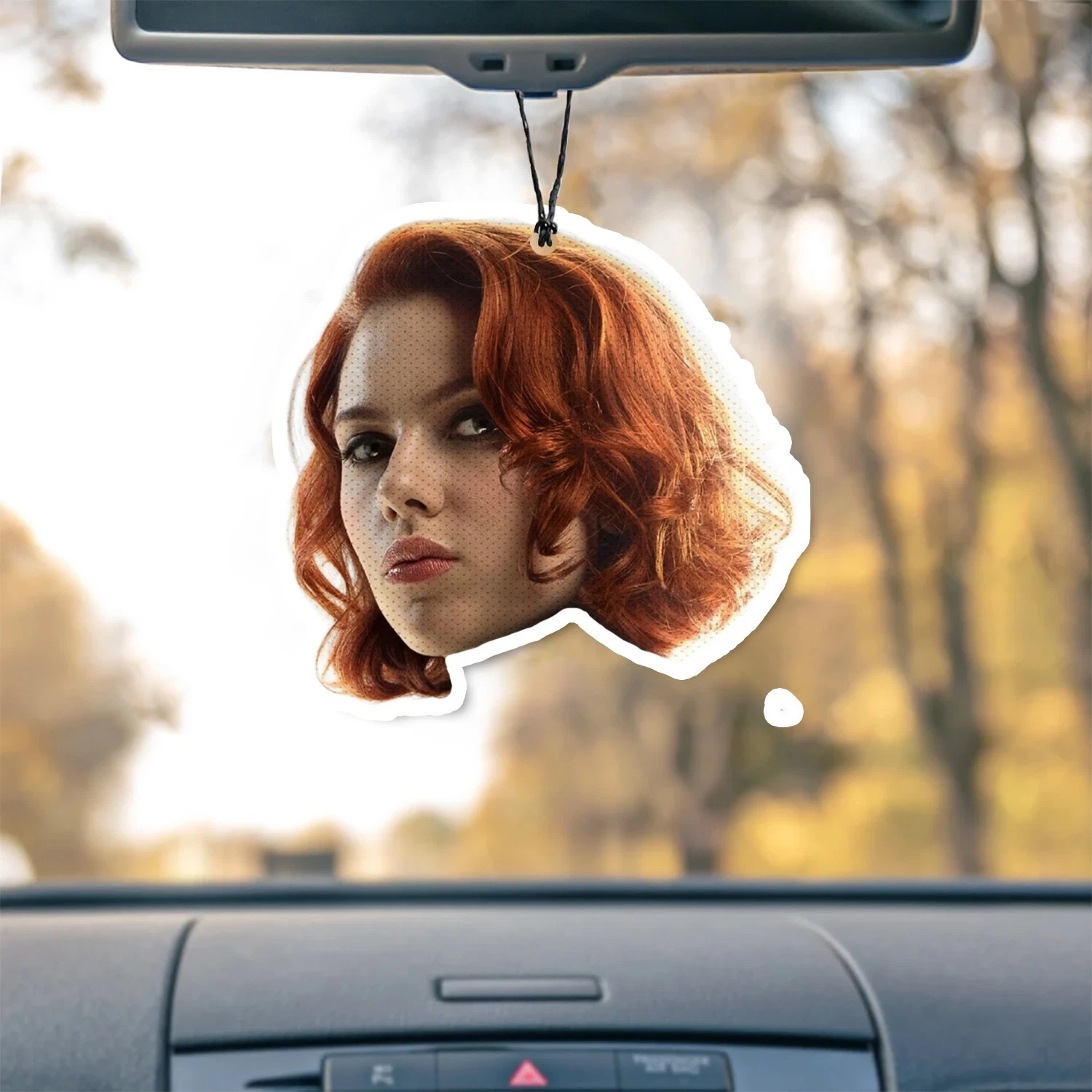 Black Widow Unscented Hanging Car Air Freshener Freshie