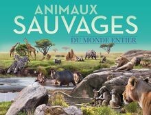 Animaux sauvages du monde entier von Collectif | Buch | Zustand sehr gut