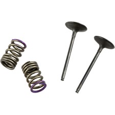 Prox Valve and Spring Kit | 28.SIS4336-2
