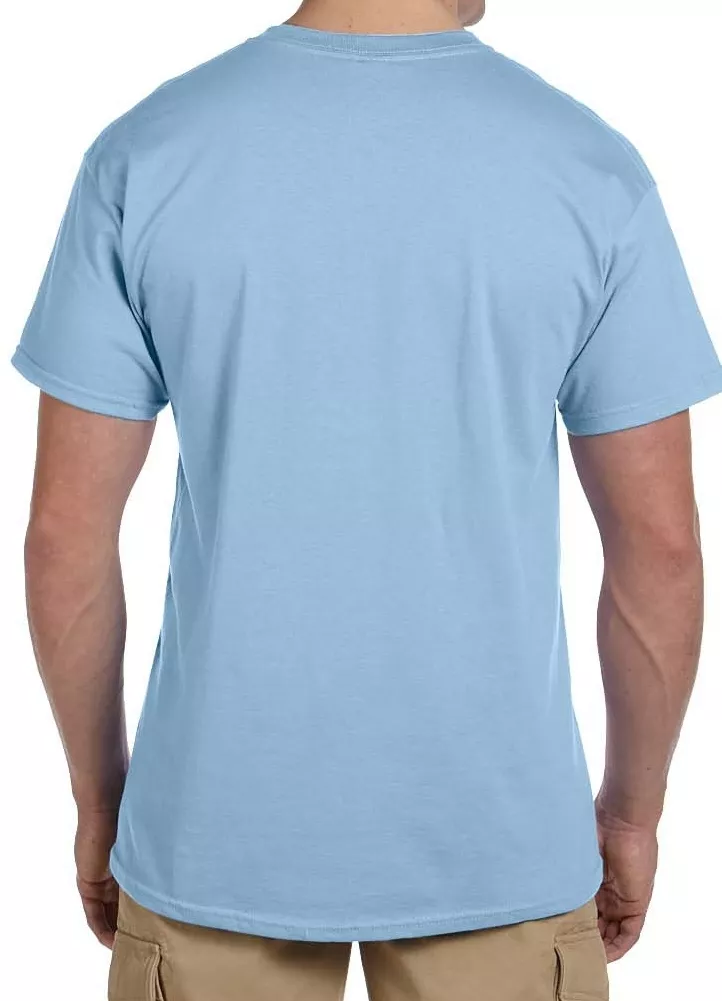 Larry Belmont direktør gør ikke Light Blue T Shirt, Blank, Solid, Mens, Unisex, Crew Neck, Tee, Cotton, Sm  - 5X | eBay