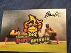 Bronson Balholm signed 4x6 autographed  picture savannah party animals bananas