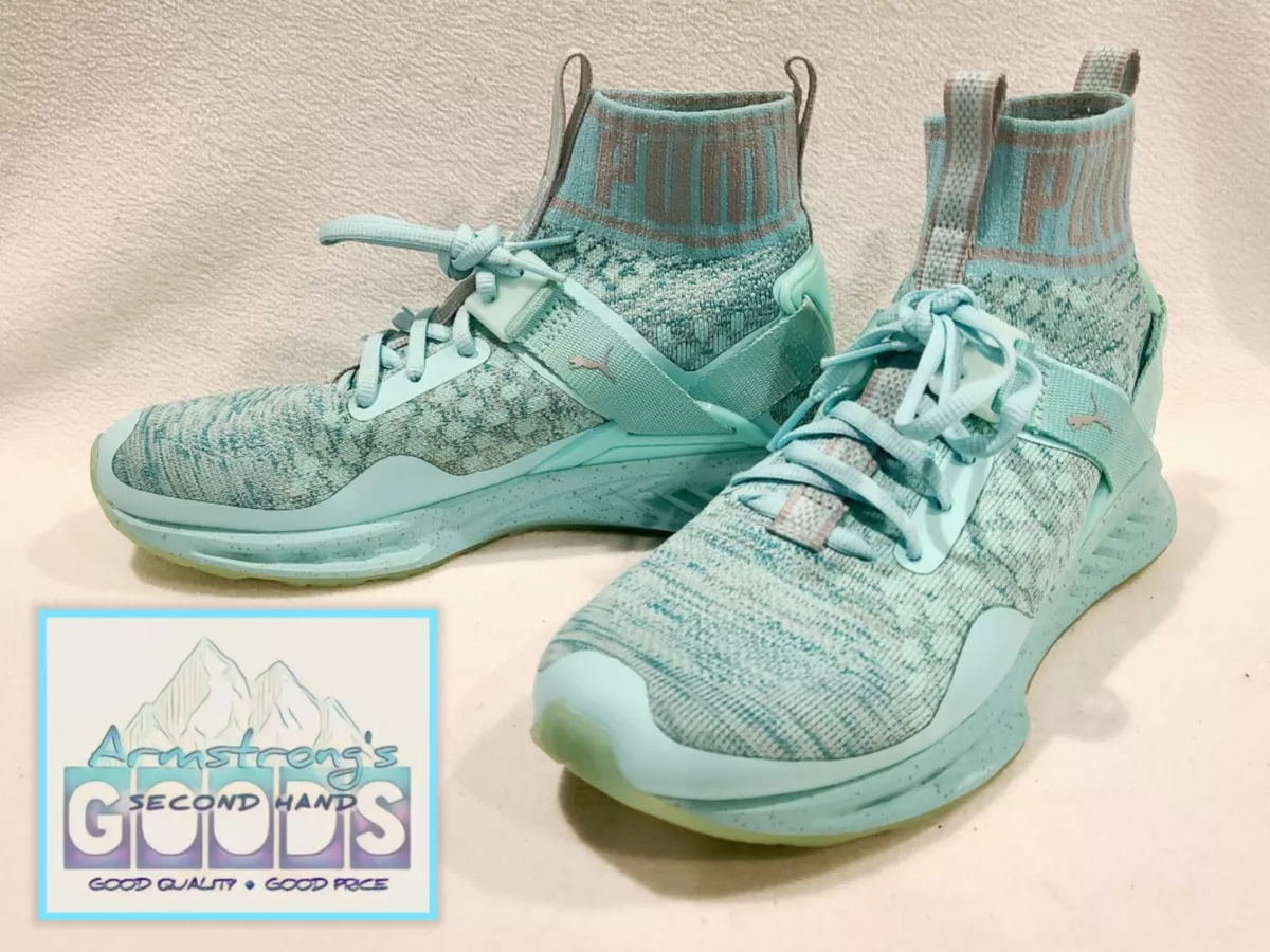 Puma ignite cheap evoknit blue women
