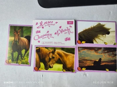 23 Sticker  Pferde im Wind von Panini 2007 - Bild 1 von 4