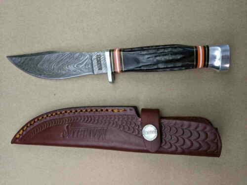 PC EN SOLOGNE CHASSE A COURRE PENDANT LA CUREE HUNTING SPORT (a34978