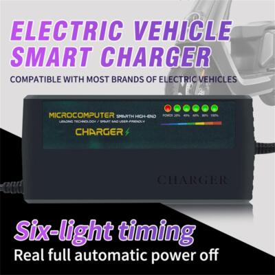 48V 60V 72V Smart Charger for 20Ah GEL AGM Liquid Lead Acid Battery Charger AEU