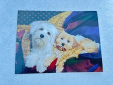 Vintage 2003 Don Ayres Puppy Dogs Greeting Blank Notecard Made in USA