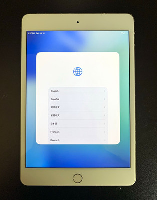 Apple iPad mini 5th generation 64GB Wi-Fi + Cellular 3GB RAM iCloud unlocked