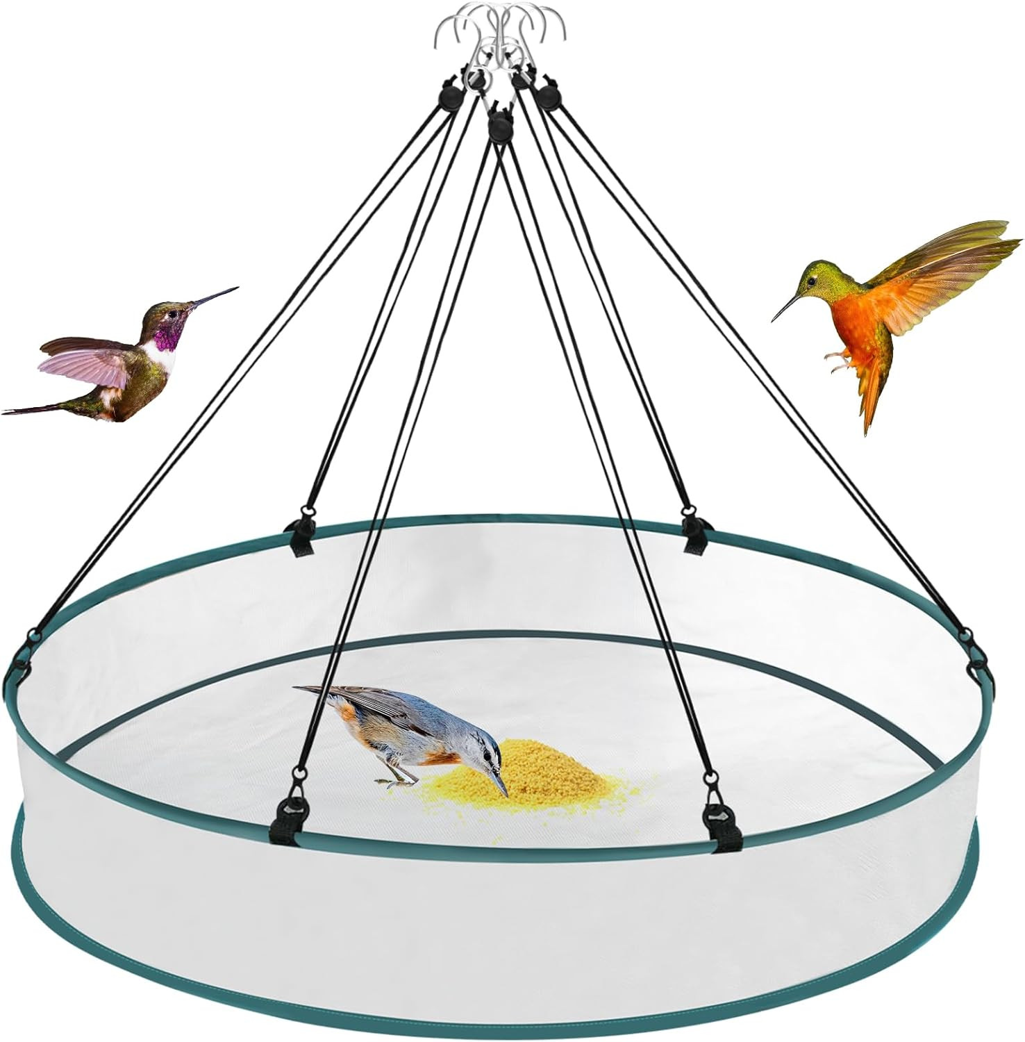 Platform, Birds Fee