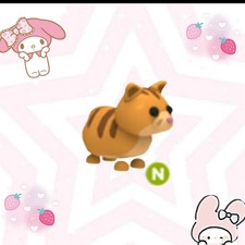 ADOPT FROM ME  NEON GINGER CAT  SUPER CHEAP  FAST DELIVERY