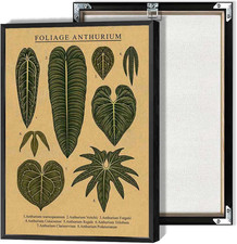 Vintage Botanical Poster Foliage Anthurium Plant Wall Art Tropical Garden Home D