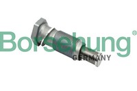 Spanner Steuerkette Borsehung B1T002 FüR 2CH 2CA 2KA Seat VW 5K1 Golf 2KH Skoda