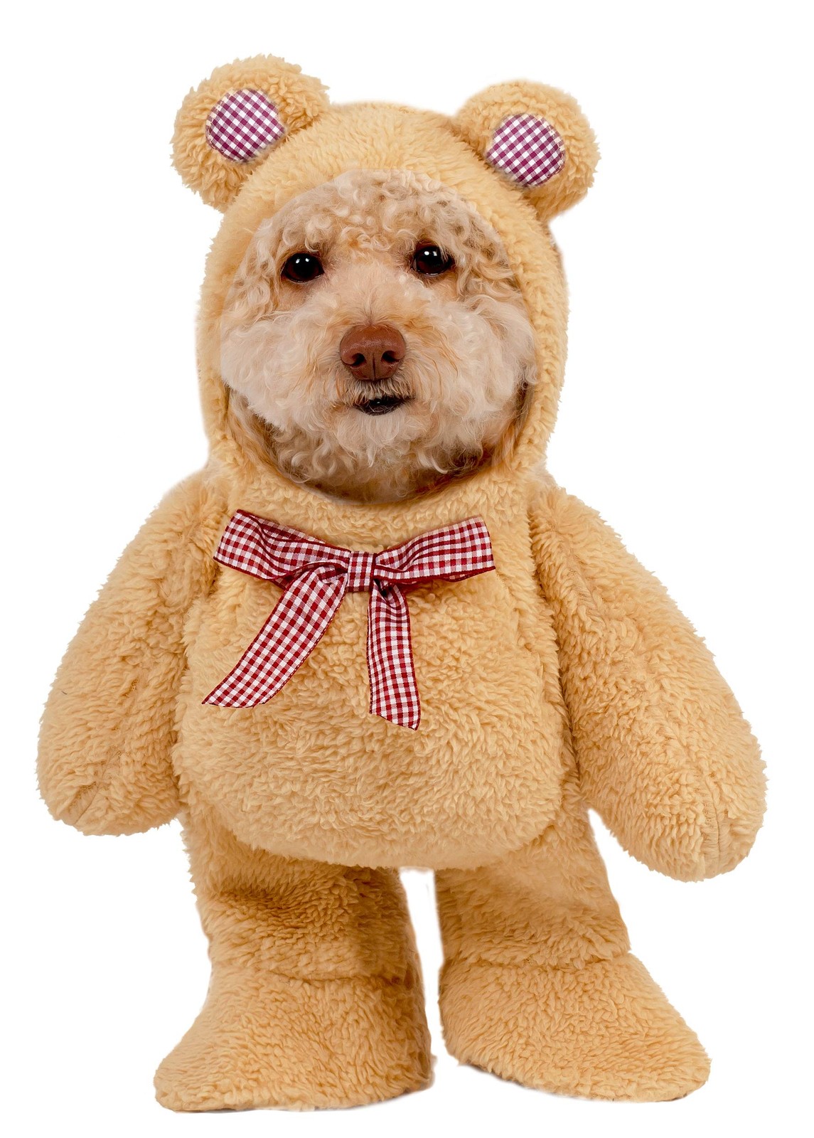 Disfraz Oficial de Oso de Peluche para Mascotas, Talla S marrón S