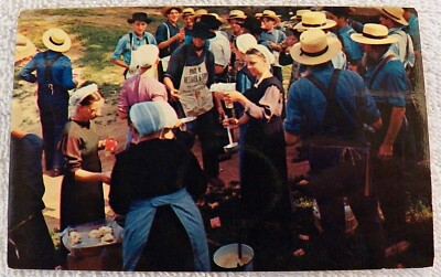 CHROME POSTCARD PEOPLE PENNSYLVANIA DUTCH BARN RAISING EVENT NEIGHBORS FRIE P411