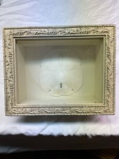 Large sand dollar shadowbox