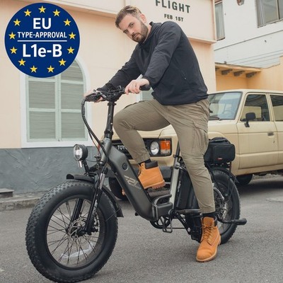 FAFREES FF20 24AH Klapprad Elektrofahrrad 20 Zoll e Bike Mountainbike Fatbike