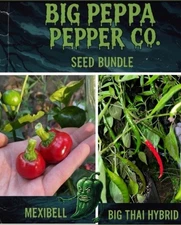 2 VARIETY SEED BUNDLE [MEXIBELL / BIG THAI HYBRID] FREE SHIPPING! 2025 SEASON!