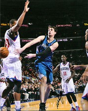 Alexey Shved Minnesota Timberwolves Signed 8x10 Photo LOM COA (PH2271)