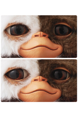 レア❗️新品未使用 GIZMO X Quality Life / Chacmool Super7 Gremlins 2 ReAction Figures Gizmo (Battle Ready Character ルアー・フライ