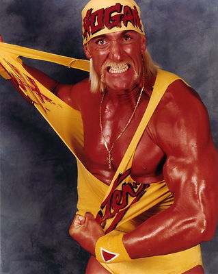 HULK HOGAN WRESTLING POSTER 24 x 36 INCH