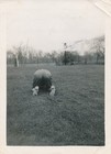vintage snapshot photo: Back Rear View of Jenny Bent Over in Backyard Unusual — photo 1