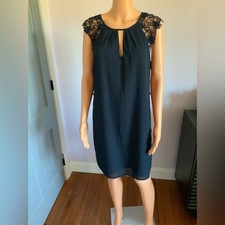 Elegant Navy Dress with Lace Sleeves