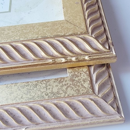 23x11 Carol Robinson Botanical Floral Prints – Gold Rope Frames – Serene Pastel - Picture 8 of 12