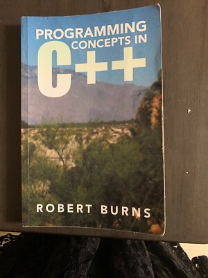 Programming Concepts in C++ by Robert Burns (2014, Paperback)