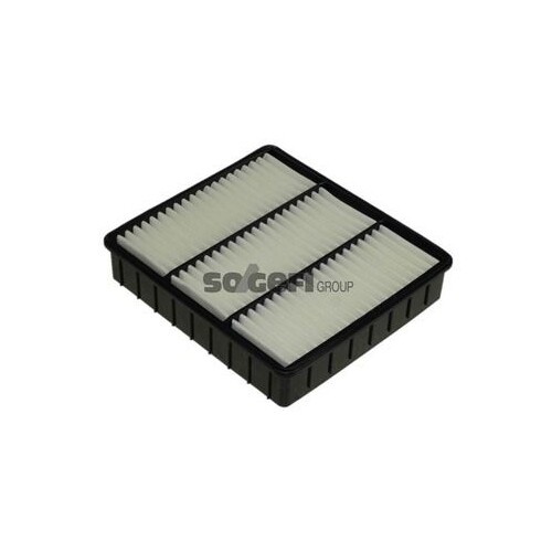 Filtro Aria Purflux A1360 per Mitsubishi Rover/austin AC Proton