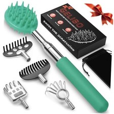 Telescoping Back Scratcher with 5Pcs Detachable Heads,Fathers Day Dad Cyan